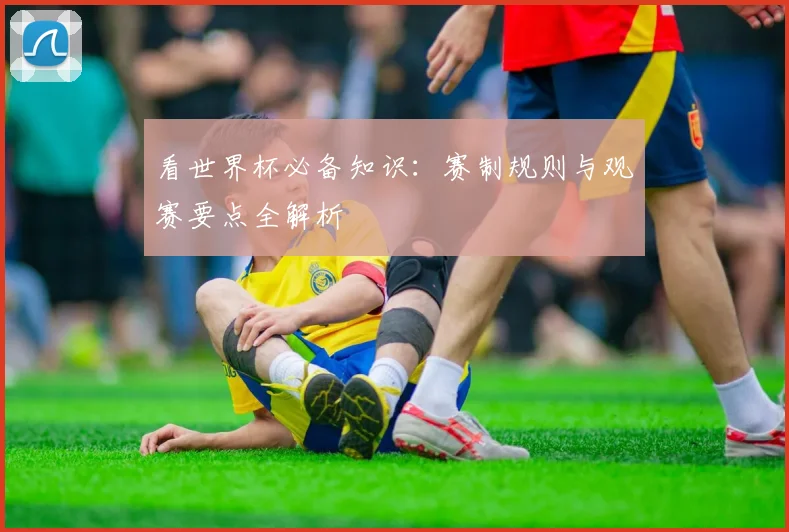 看世界杯必备知识：赛制规则与观赛要点全解析