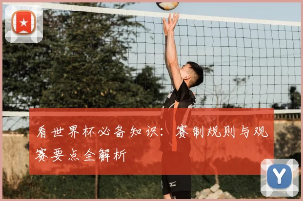 看世界杯必备知识:赛制规则与观赛要点全解析