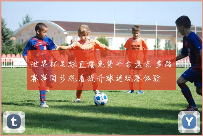 世界杯足球直播免费平台盘点 多路赛事同步观看提升球迷观赛体验