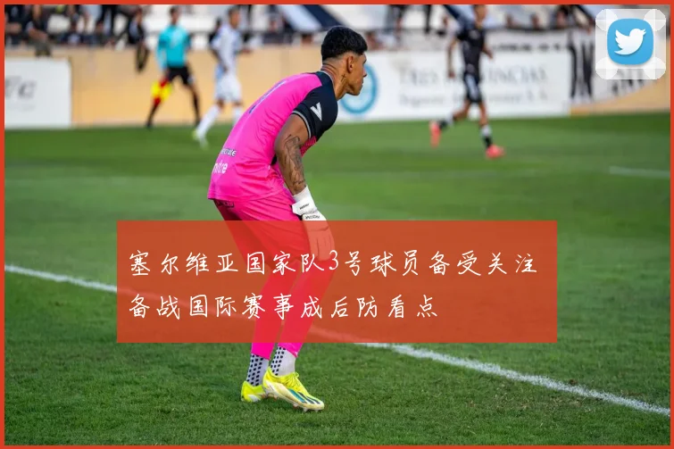 塞尔维亚国家队3号球员备受关注 备战国际赛事成后防看点