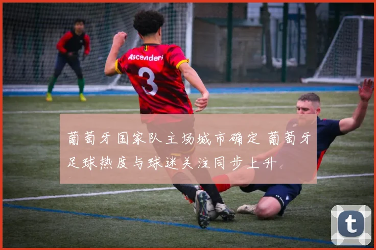 葡萄牙国家队主场城市确定 葡萄牙足球热度与球迷关注同步上升