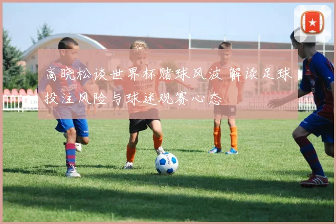 高晓松谈世界杯赌球风波 解读足球投注风险与球迷观赛心态