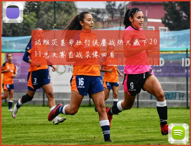 诺维茨基率独行侠鏖战热火赢下2011总决赛首战录像回看