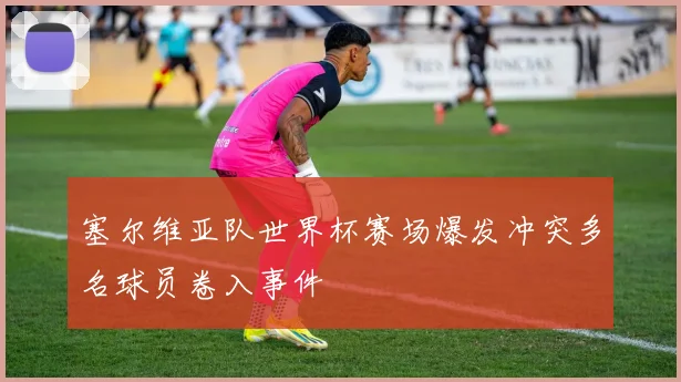 塞尔维亚队世界杯赛场爆发冲突多名球员卷入事件